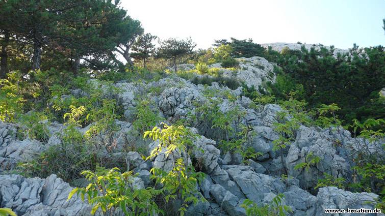 Unberührte nberührte Natur